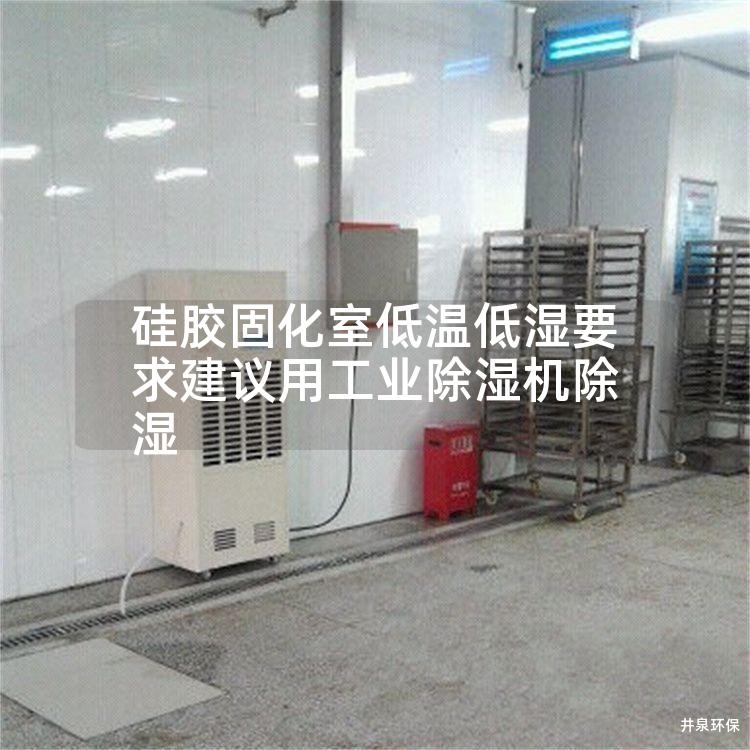 硅胶固化室低温低湿要求建议用工业除湿机除湿