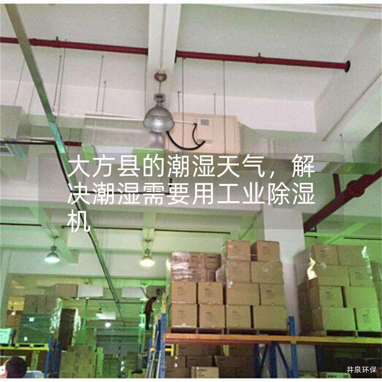 大方县的潮湿天气，解决潮湿需要用工业除湿机