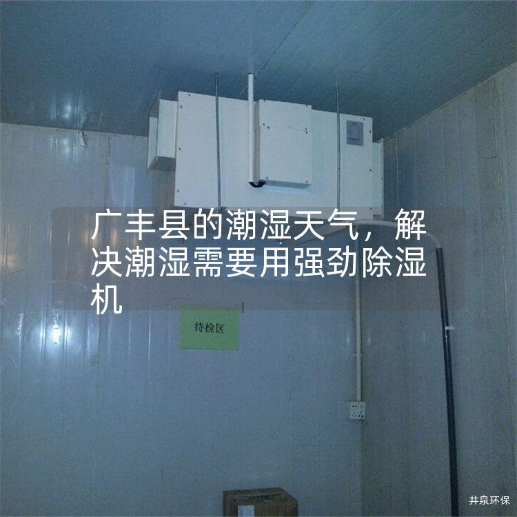 广丰县的潮湿天气，解决潮湿需要用强劲除湿机