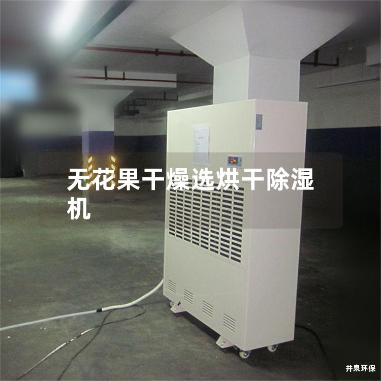 无花果干燥选烘干除湿机