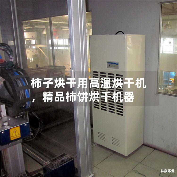 柿子烘干用高温烘干机，精品柿饼烘干机器