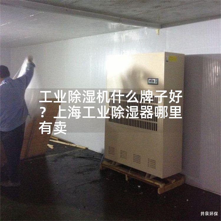 工业除湿机什么牌子好？上海工业除湿器哪里有卖