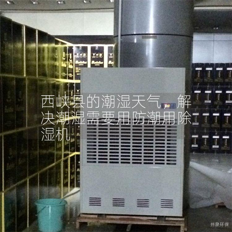 西峡县的潮湿天气，解决潮湿需要用防潮用除湿机