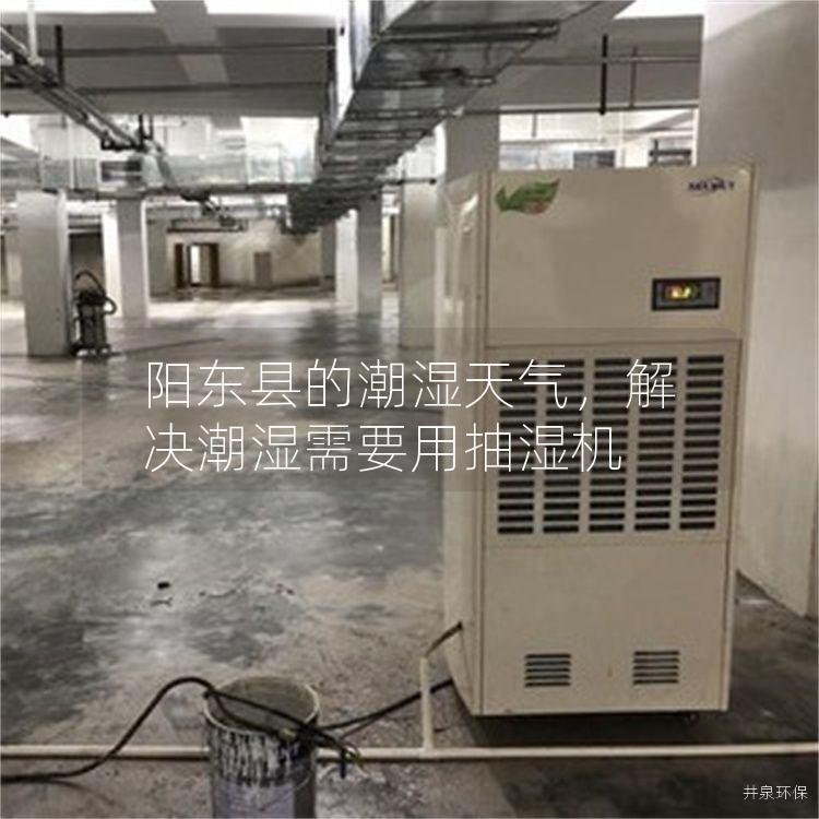 阳东县的潮湿天气，解决潮湿需要用抽湿机