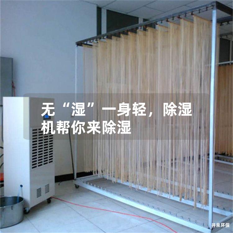 无“湿”一身轻，除湿机帮你来除湿