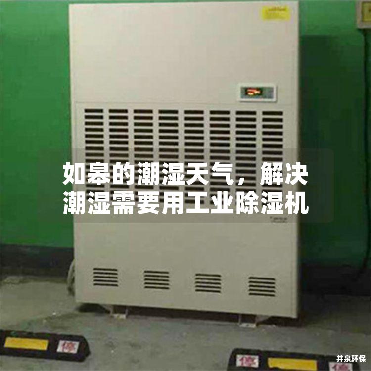 如皋的潮湿天气，解决潮湿需要用工业除湿机