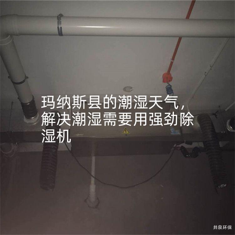 玛纳斯县的潮湿天气，解决潮湿需要用强劲除湿机