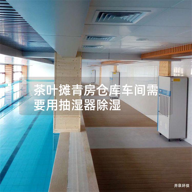 茶叶摊青房仓库车间需要用抽湿器除湿
