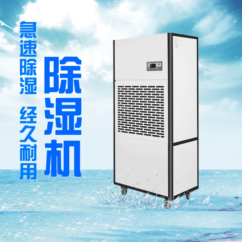 专业皮革厂皮鞋厂皮制品仓库专用高效除湿机仓库除湿机