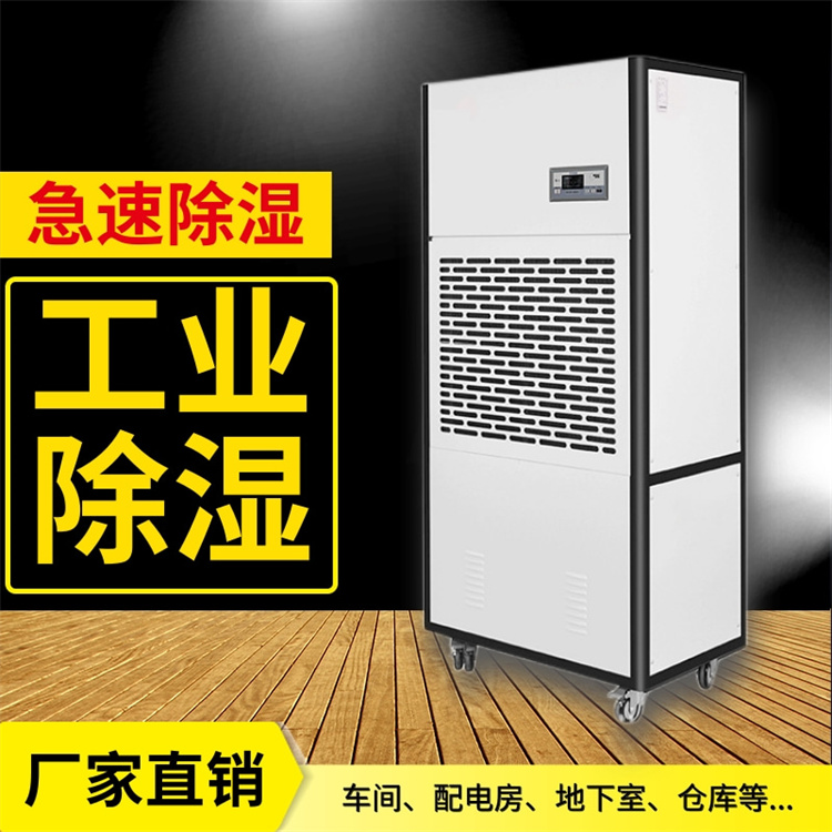 档案室除湿秘籍：科技守护知识资产的“气候保险”